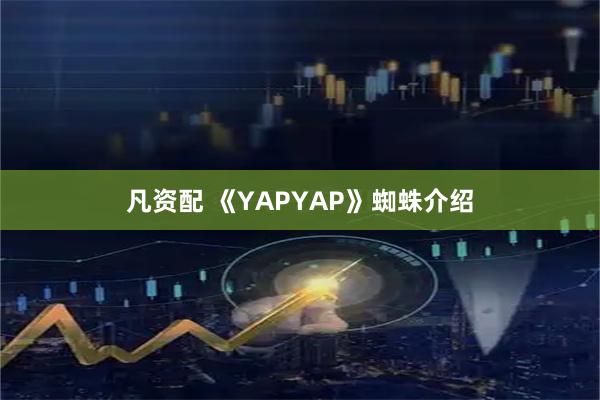 凡资配 《YAPYAP》蜘蛛介绍