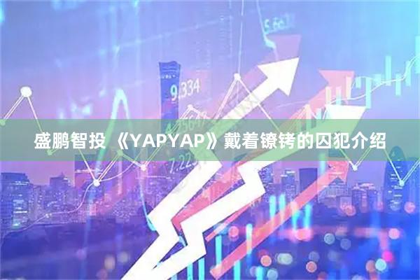 盛鹏智投 《YAPYAP》戴着镣铐的囚犯介绍
