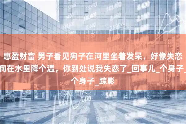 惠盈财富 男子看见狗子在河里坐着发呆，好像失恋了。狗在水里降个温，你到处说我失恋了_回事儿_个身子_踪影