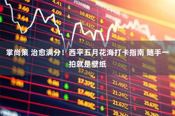 掌尚策 治愈满分！西平五月花海打卡指南 随手一拍就是壁纸