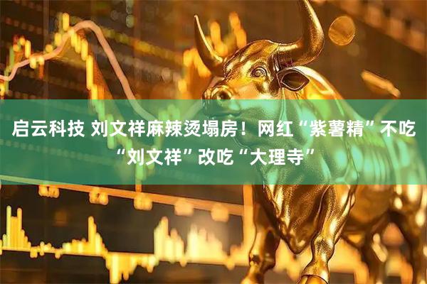 启云科技 刘文祥麻辣烫塌房！网红“紫薯精”不吃“刘文祥”改吃“大理寺”